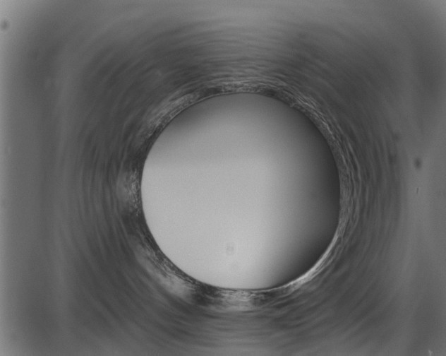 X0000086780144200704130838