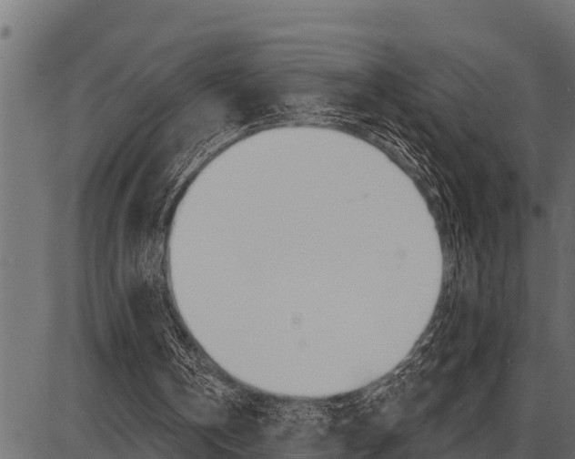X0000086780146200704130838