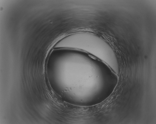 X0000086780148200704130838
