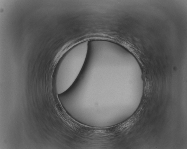 X0000086780151200704130838