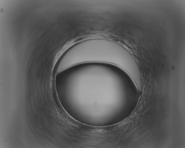 X0000086780152200704130838