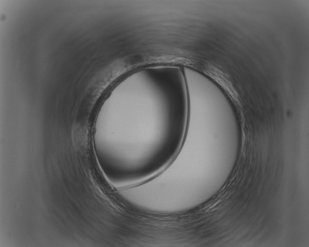 X0000086780156200704130838
