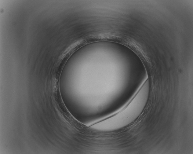 X0000086780164200704130838