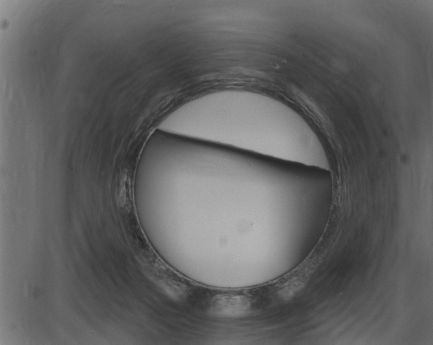X0000086780169200704130838