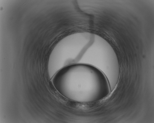 X0000086780174200704130838
