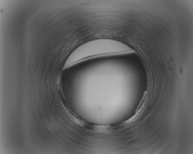 X0000086780192200704130838
