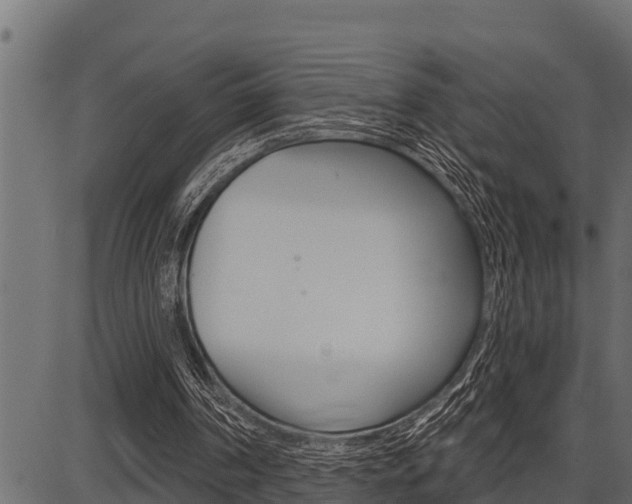 X0000086780194200704130837