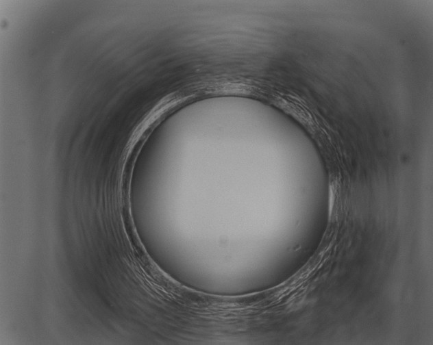 X0000086780195200704130837