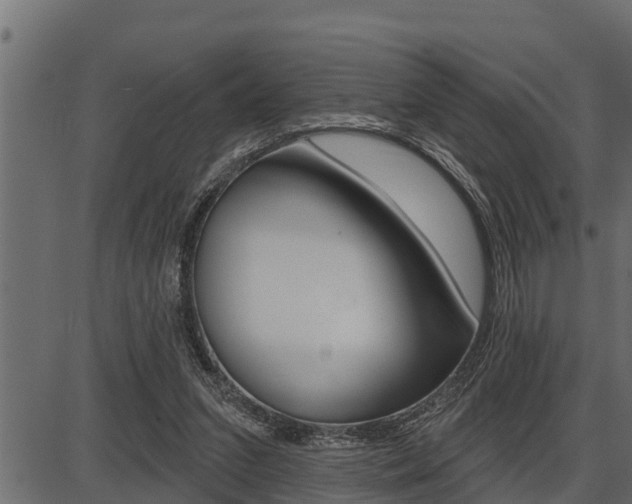 X0000086780207200704130837