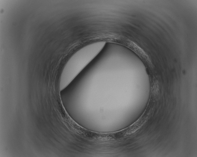 X0000086780209200704130837