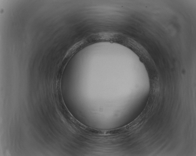 X0000086780216200704130837