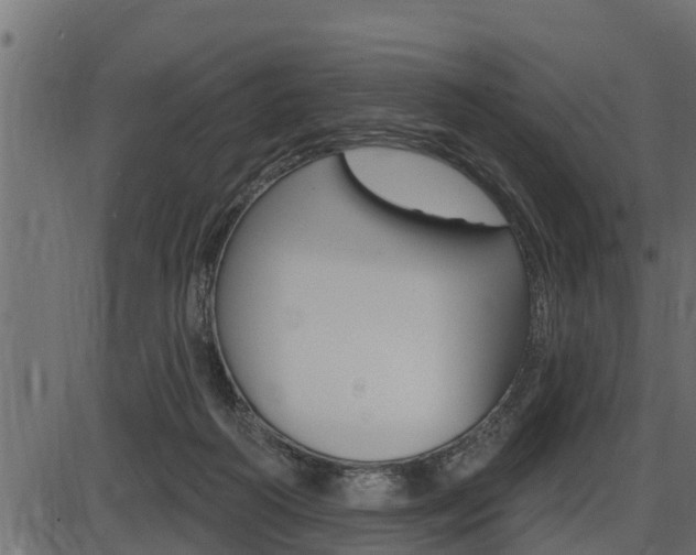 X0000086780218200704130837