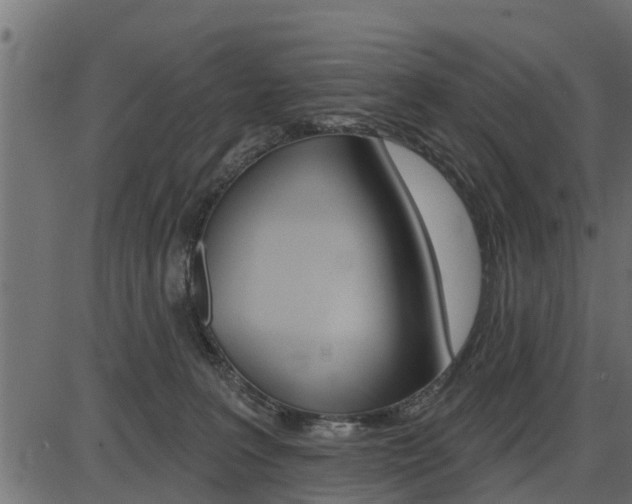 X0000086780227200704130837