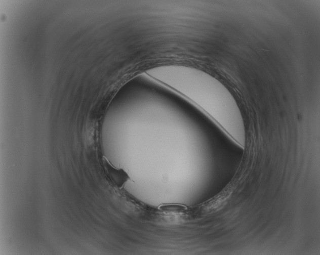 X0000086780233200704130837