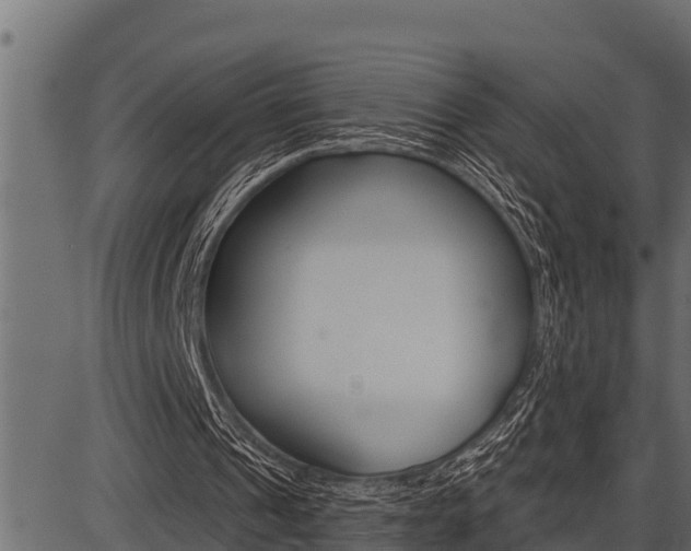 X0000086780241200704130836
