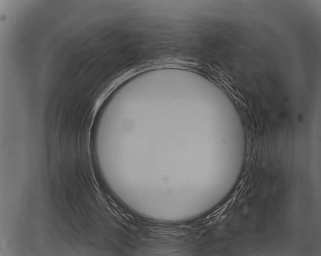 X0000086780244200704130836
