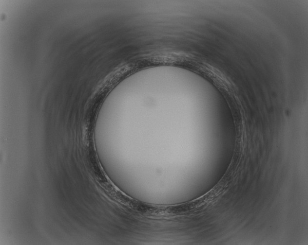 X0000086780258200704130836