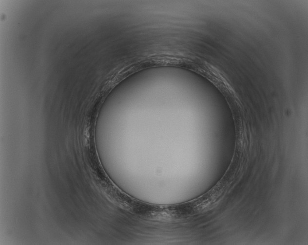 X0000086780259200704130836