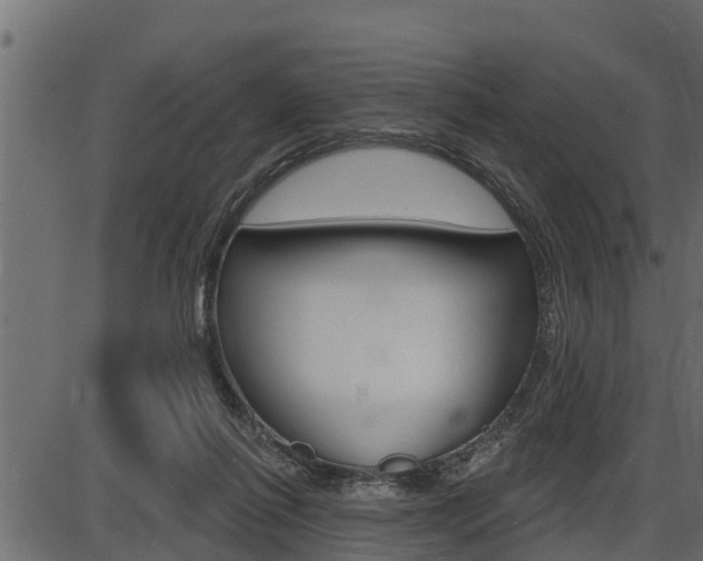 X0000086780262200704130836