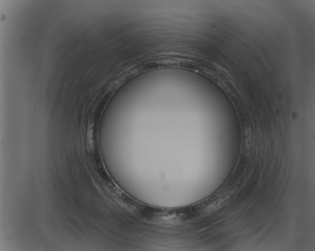 X0000086780267200704130836