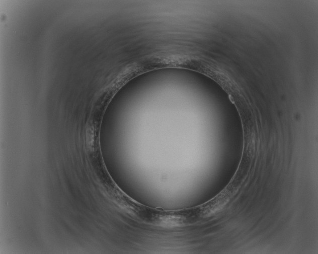 X0000086780268200704130836