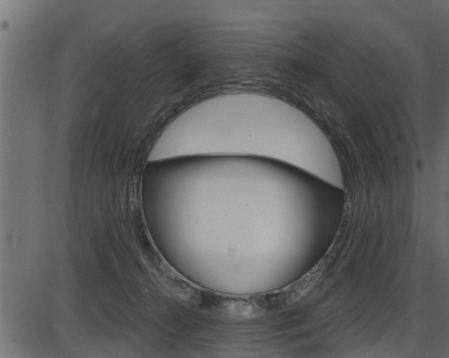 X0000086780272200704130836