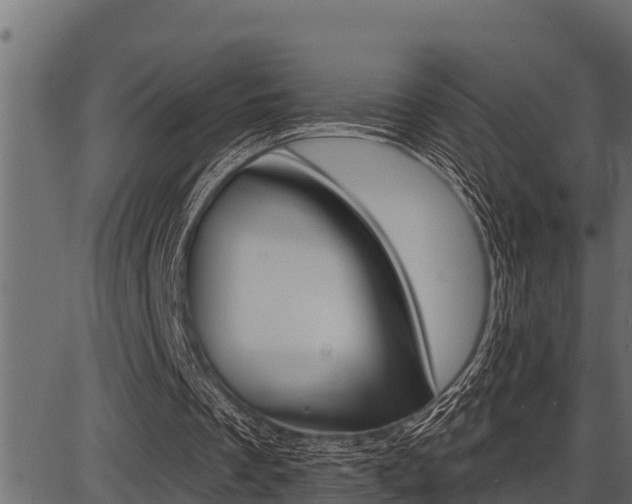 X0000086780289200704130836