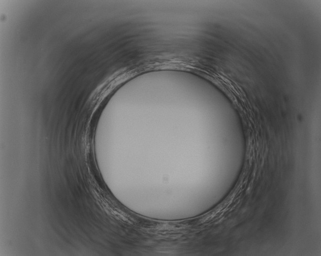 X0000086780290200704130836