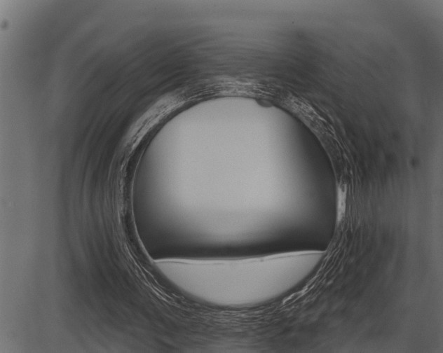 X0000086780291200704130836