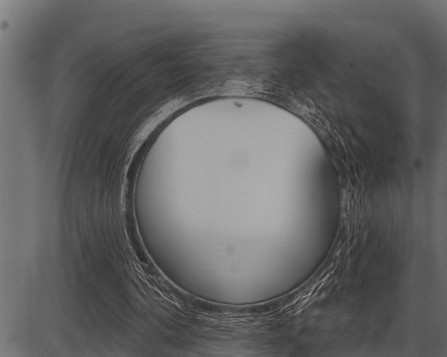 X0000086780292200704130836