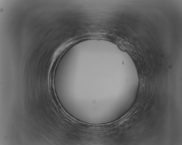 X0000086780294200704130836