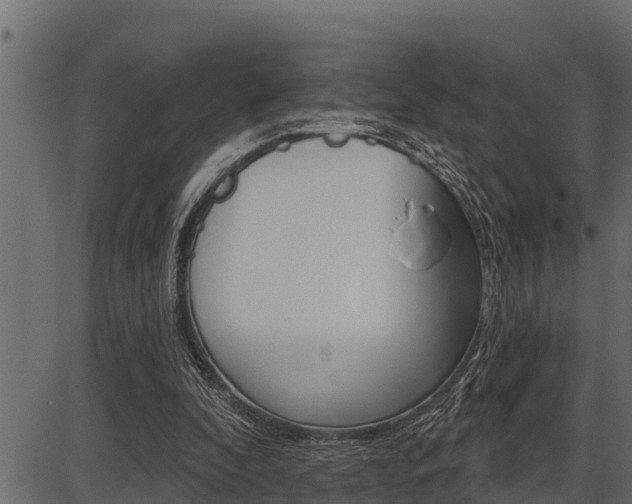 X0000086780296200704130836
