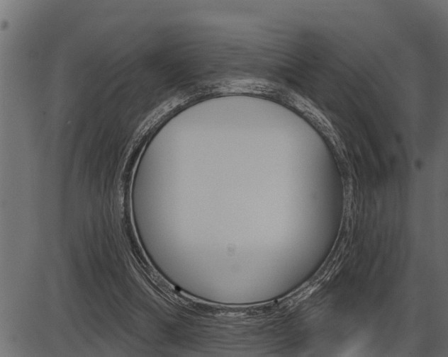 X0000086780298200704130836
