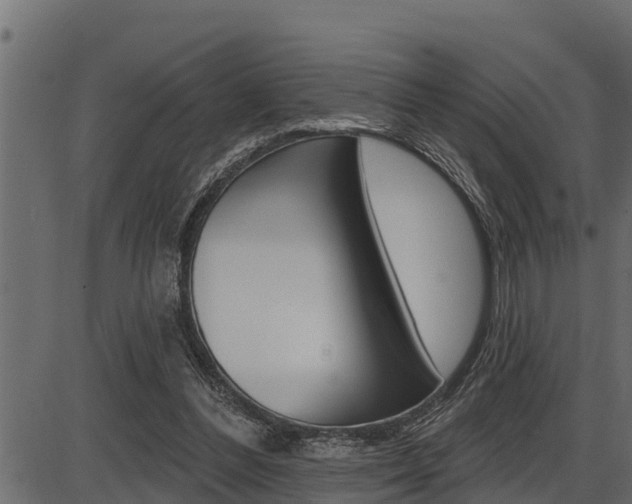 X0000086780300200704130836