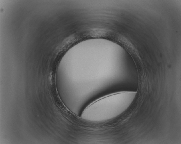X0000086780308200704130836