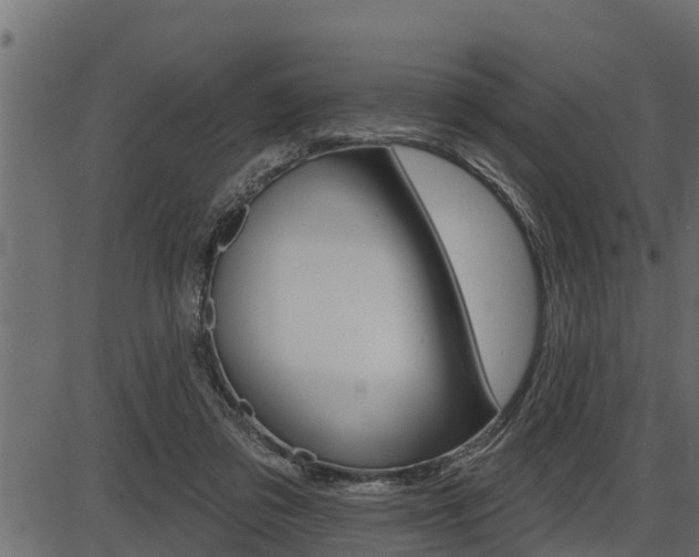 X0000086780309200704130836