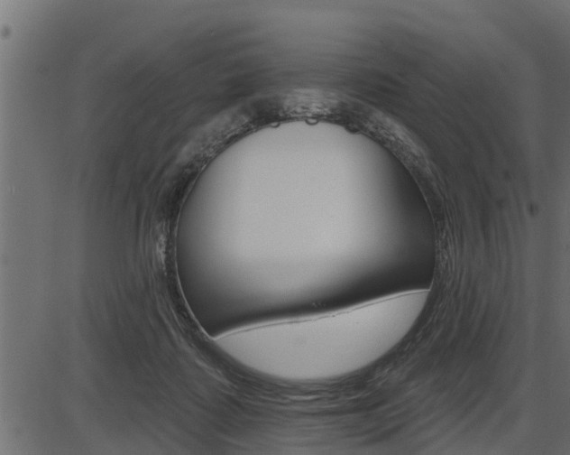 X0000086780315200704130835