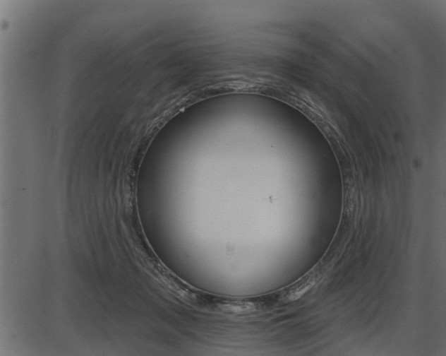 X0000086780317200704130835