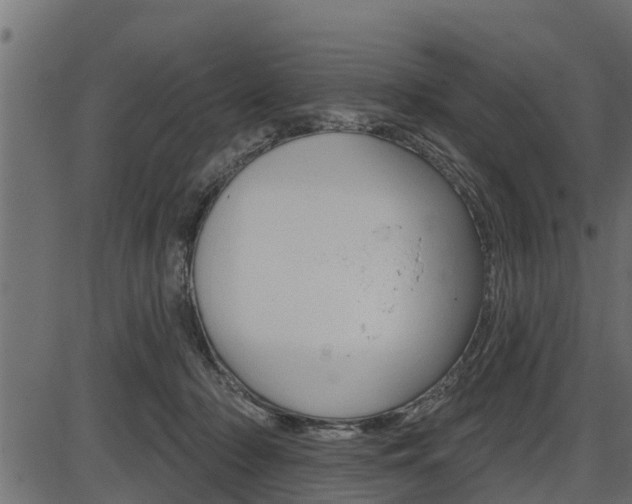 X0000086780318200704130835