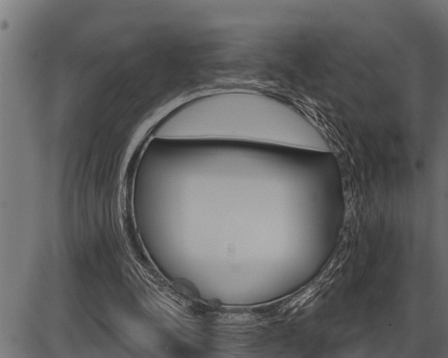 X0000086780342200704130834
