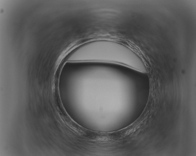 X0000086780344200704130834