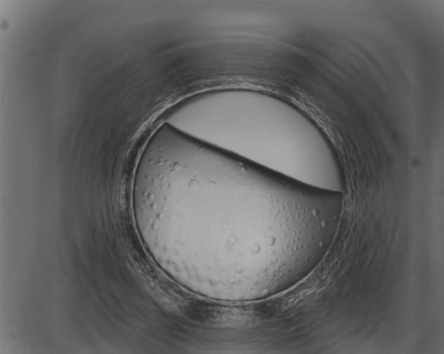 X0000086780347200704130834