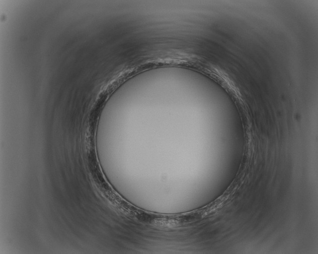 X0000086780354200704130835