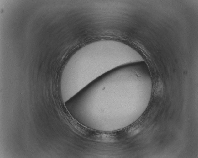 X0000086780365200704130835