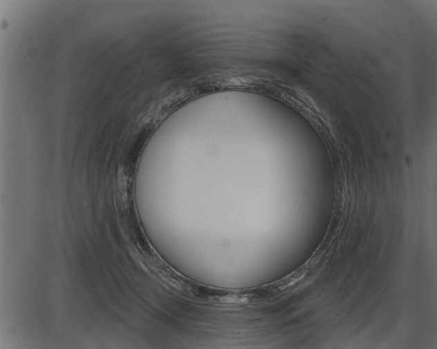 X0000086780366200704130835