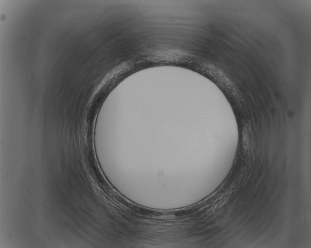 X0000086780396200704130834