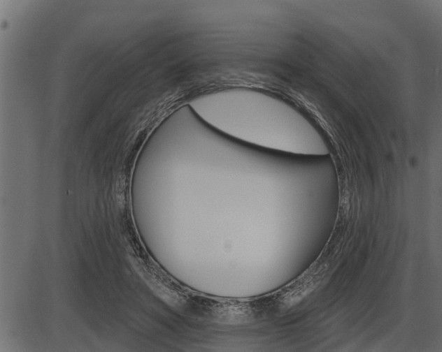 X0000086780402200704130834