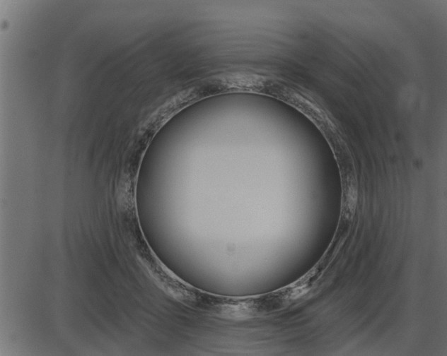 X0000086780411200704130834