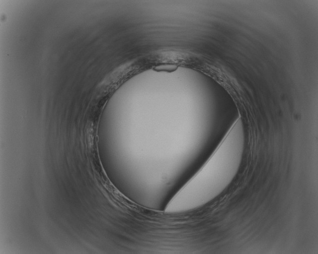 X0000086780413200704130834