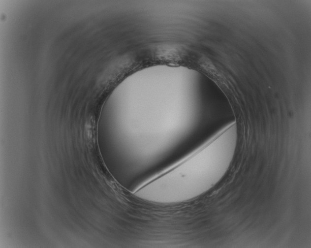 X0000086780424200704130834